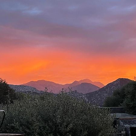 Appartamento Casa Toloi Dorgali Esterno foto