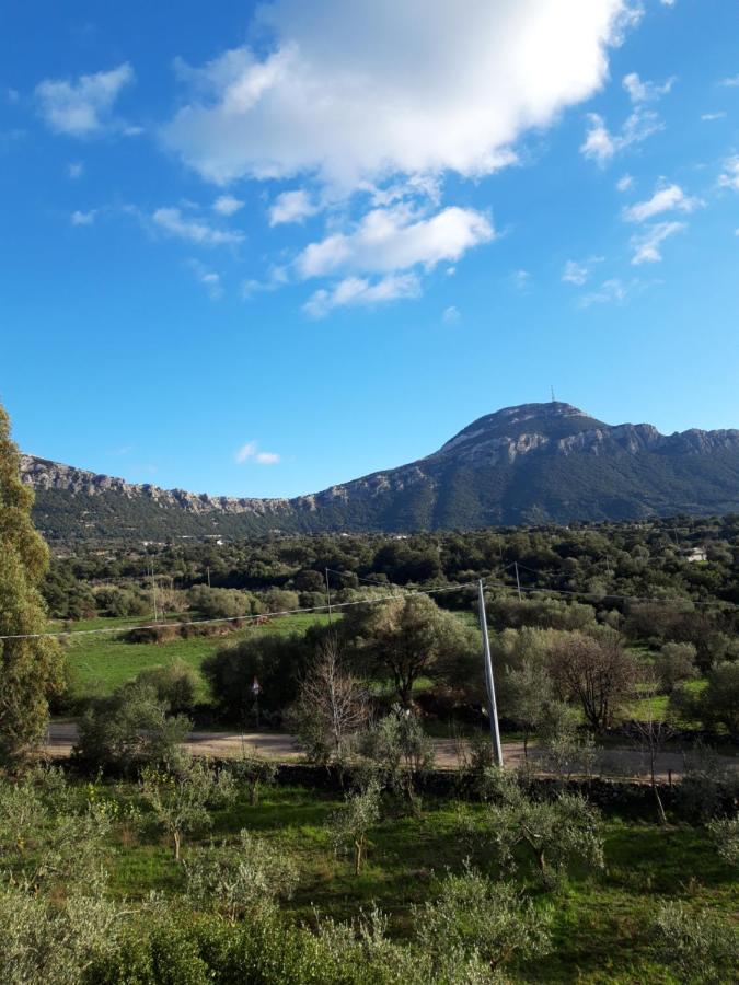 Appartamento Casa Toloi Dorgali Esterno foto