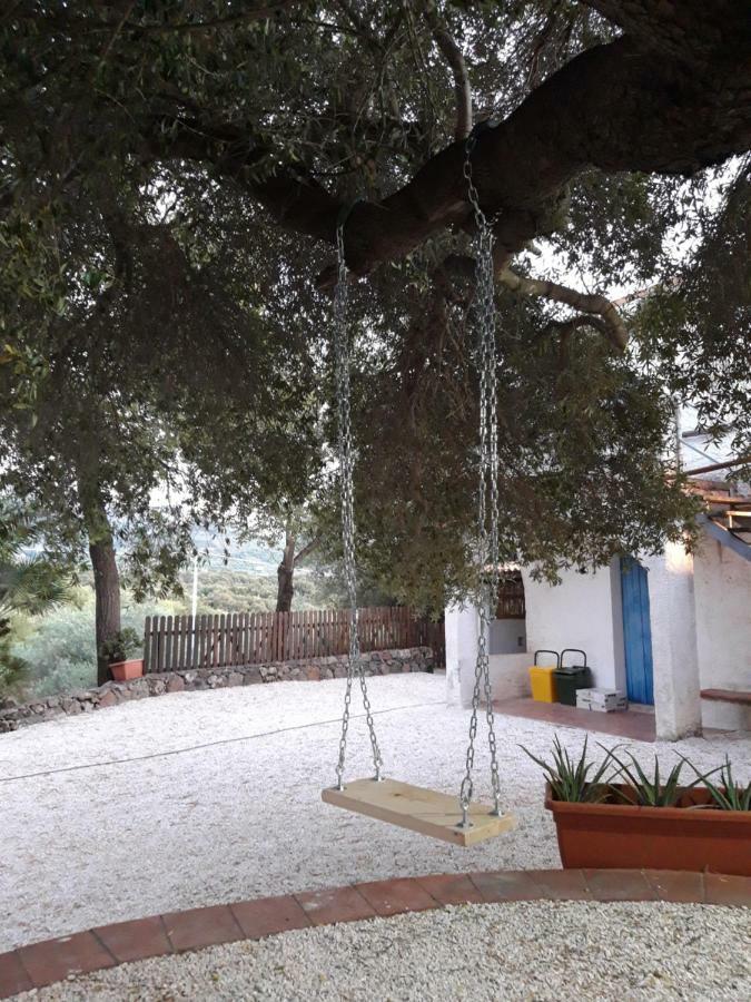 Appartamento Casa Toloi Dorgali Esterno foto